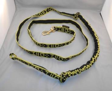 Skijöring Leine Pro